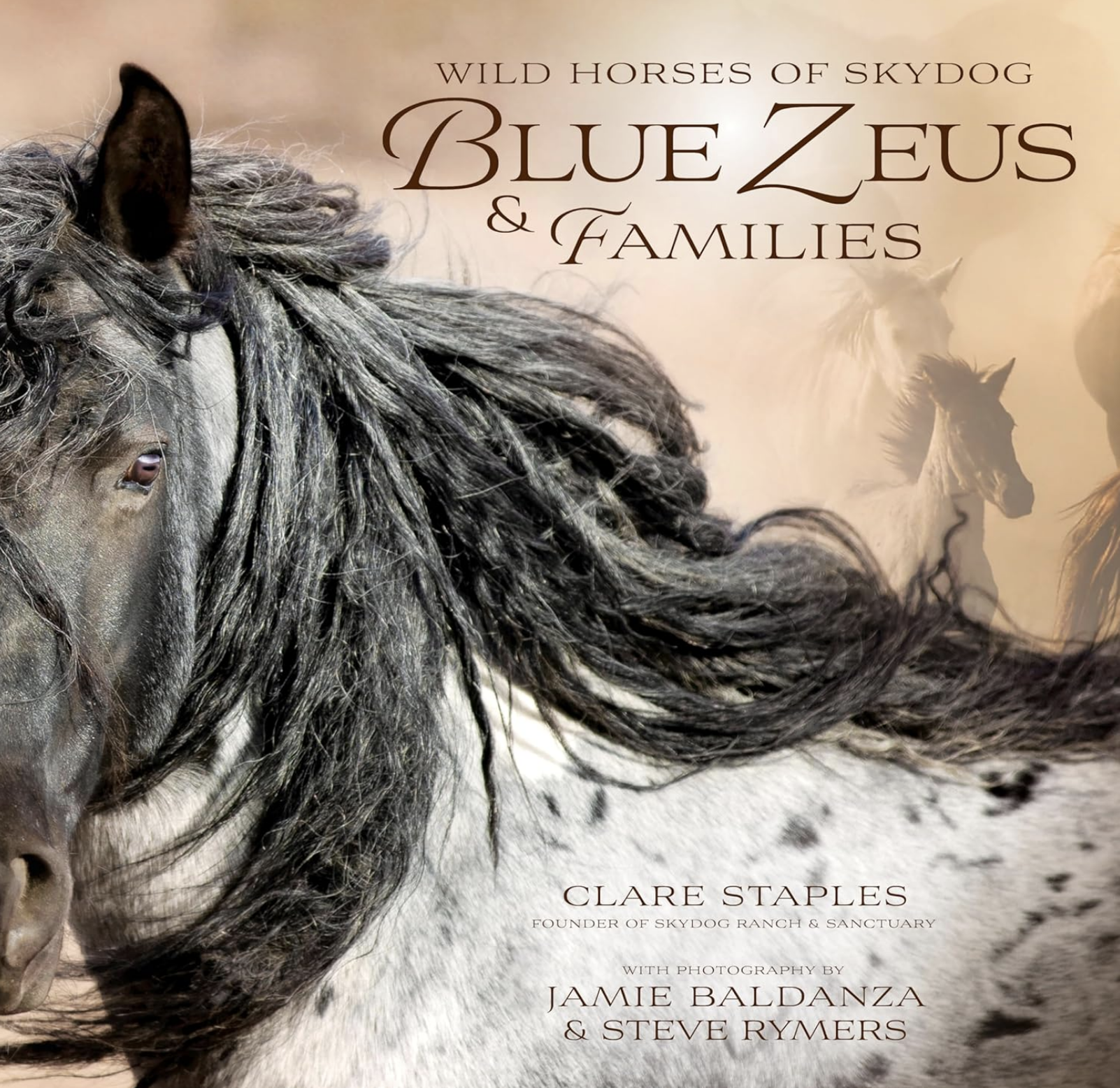 STALLIONSブック2022 コントレイル クリソベリル など Wild Horses of Skydog: Blue Zeus and Families — Skydog Ranch